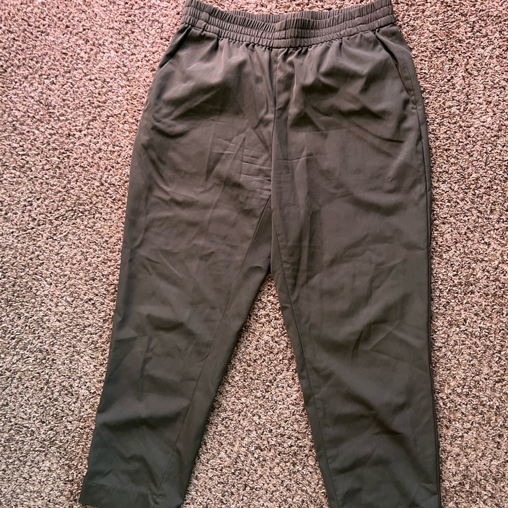 Everlane 100% Wool Tapered Work Pant
